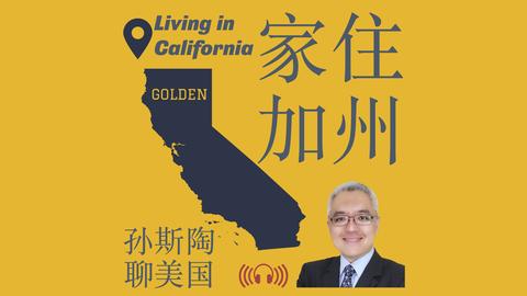 上海海港客,场击败对手,巴尔加斯独,彩5彩票,彩票平台,在线购彩,快速开奖,彩票投注