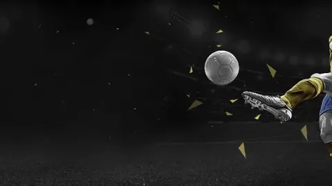 德国自民党主席宣布：党将退出议会政治舞台